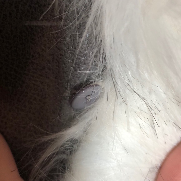 Winter Jacket EXTRA SOFT and New ! - Picture 4 of 5